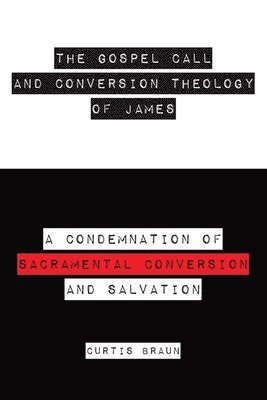 bokomslag The Gospel Call and Conversion Theology of James