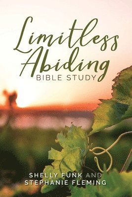 bokomslag Limitless Abiding Bible Study