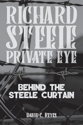 bokomslag Richard Steel Private Eye