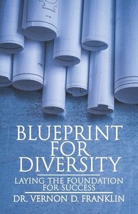 bokomslag Blueprint for Diversity