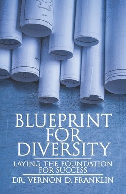 bokomslag Blueprint for Diversity