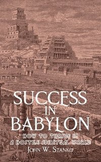 bokomslag Success in Babylon