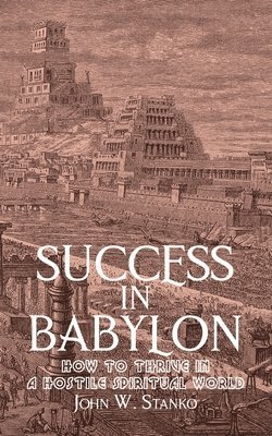 bokomslag Success in Babylon