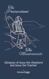 bokomslag The Pastureland / The Mountainside: Glimpses of Jesus the Shepherd and Jesus the Teacher