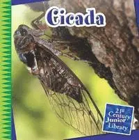 Michael Shoulders - Cicada, Inbunden. Tillgänglighet: Lägg i varukorg