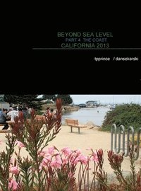 bokomslag Beyond Sea Level Part 4 the Coast California 2013