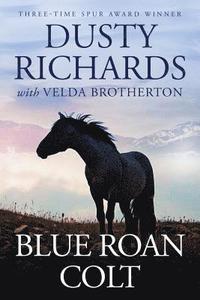 bokomslag Blue Roan Colt
