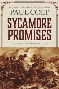 bokomslag Sycamore Promises