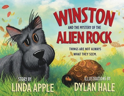 Winston and the Mystery of the Alien Rock 1