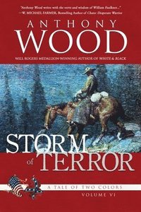 bokomslag Storm of Terror: A Story of the Civil War