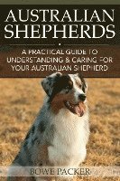 Australian Shepherds 1