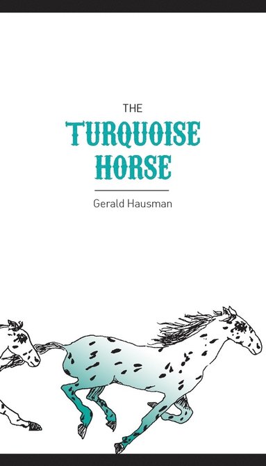 bokomslag Turquoise Horse