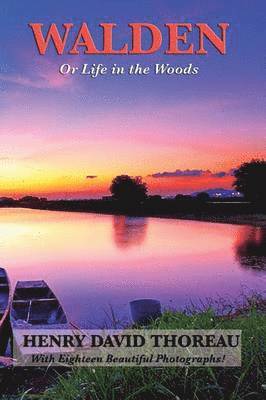 Henry David Thoreau - Walden (Illustrated Edition), Häftad