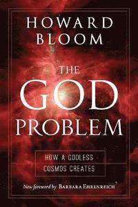 bokomslag The God Problem