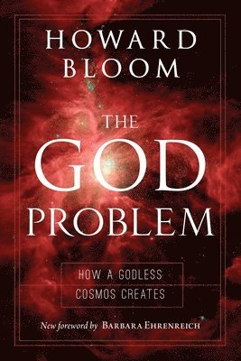 Howard Bloom - The God Problem, Häftad