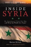 bokomslag Inside Syria