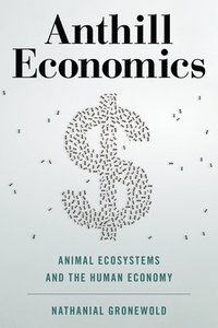 bokomslag Anthill Economics