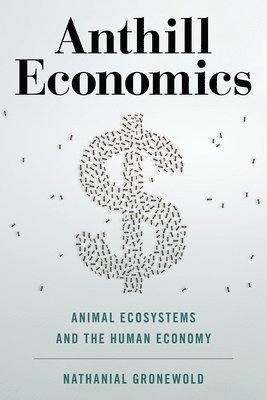 Anthill Economics 1