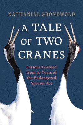 Tale of Two Cranes