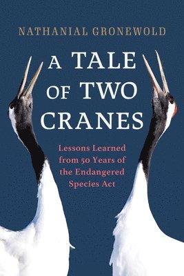 A Tale of Two Cranes 1