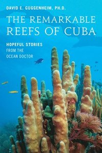 bokomslag The Remarkable Reefs Of Cuba