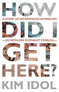 bokomslag How Did I Get Here?: A Story of Interspecies Intimacies (In Nepalese Elephant Stables)