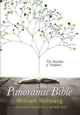 bokomslag The Panoramic Bible