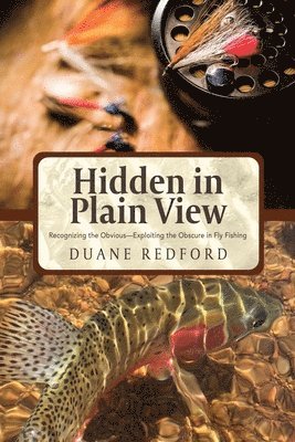 Duane Redford - Hidden in Plain View, Häftad