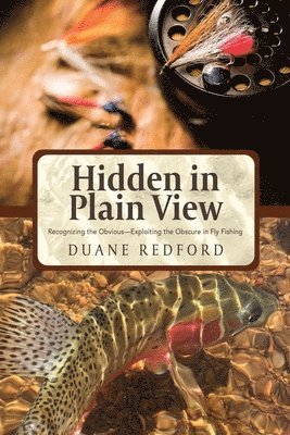 Hidden in Plain View 1