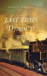 bokomslag The Last Train From Djibouti