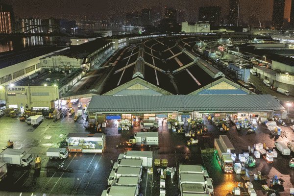 Tsukiji Fish Market 1