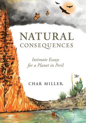 Natural Consequences 1