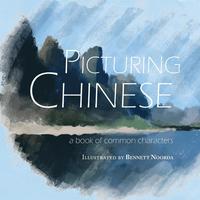 bokomslag Picturing Chinese