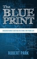 bokomslag The Blueprint: Discover what God has in store for your life