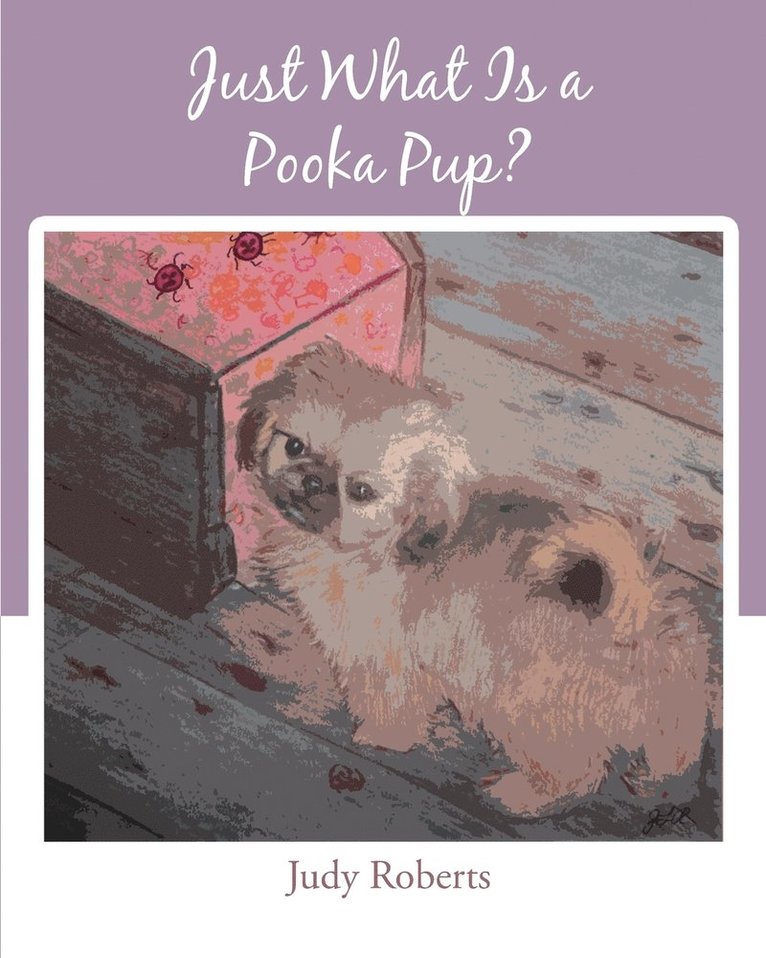 Just What Is a Pooka Pup? 1