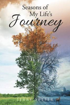 Seasons of My Life's Journey 1