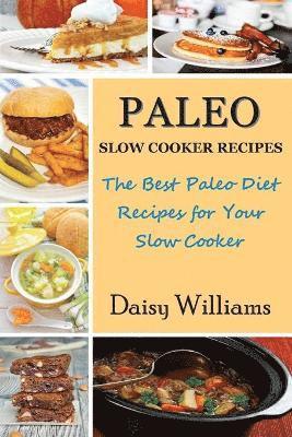 bokomslag Paleo Slow Cooker Recipes