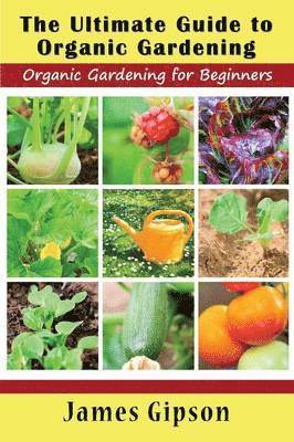 Ultimate Guide to Organic Gardening