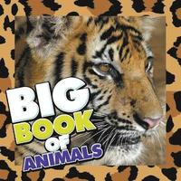 bokomslag Big Book of Animals