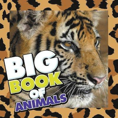 Big Book of Animals 1