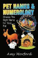 Amy Morford - Pet Names and Numerology, Häftad