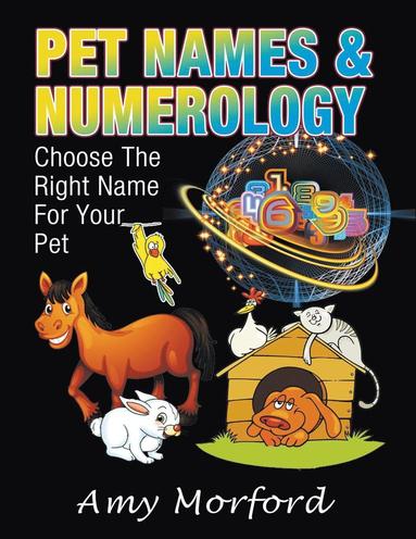 bokomslag Pet Names & Numerology