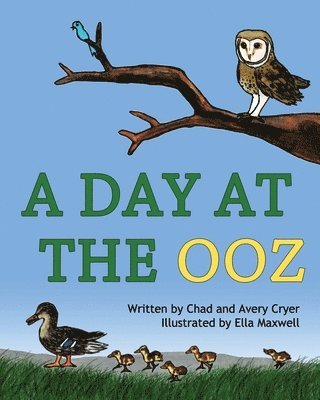 A Day at the OOZ 1