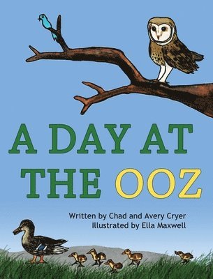 Chad Cryer, Avery Cryer - Day at the OOZ, Inbunden