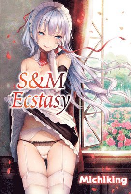 bokomslag S&M Ecstasy