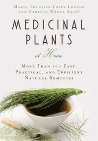 bokomslag Medicinal Plants at Home
