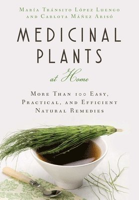 bokomslag Medicinal Plants at Home