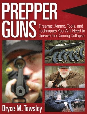 Prepper Guns 1