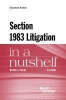 bokomslag Section 1983 Litigation in a Nutshell