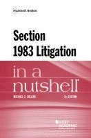 Michael G. Collins - Section 1983 Litigation in a Nutshell, Häftad
